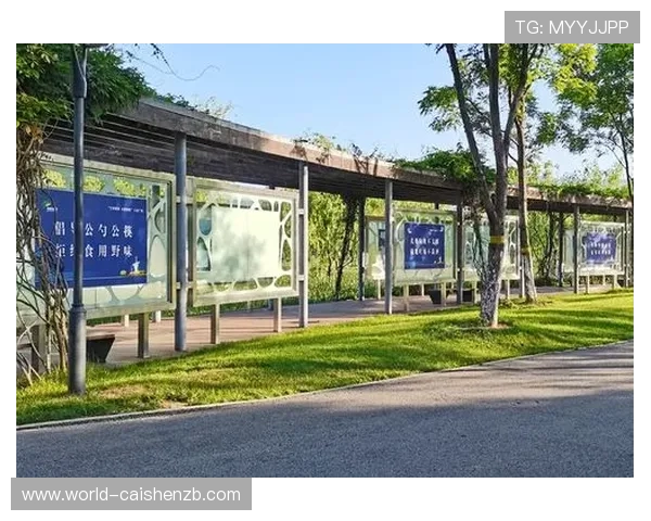 打造公益新风尚 11选5助力社会公益事业发展新路径