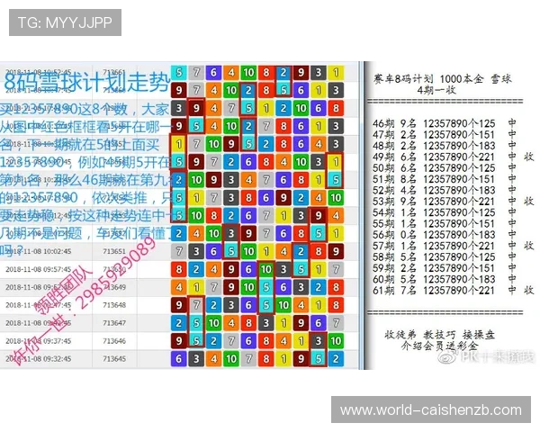 深入解析PK10投注技巧与开奖结果规律全面指南